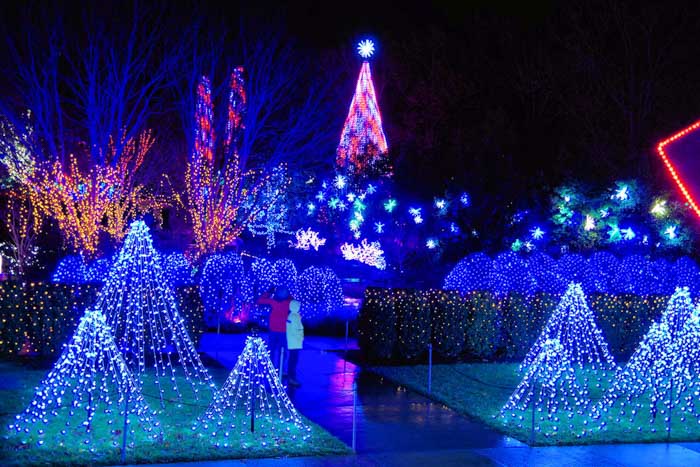 Christmas Lights Asheville