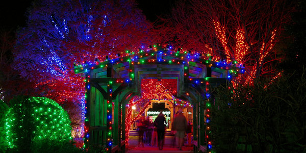 NC Arboretum Winter Lights