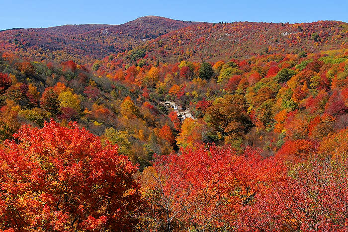 Blue Ridge Mountains NC Fall Color