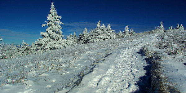 Appalachian Trail Snow Roan Mountain