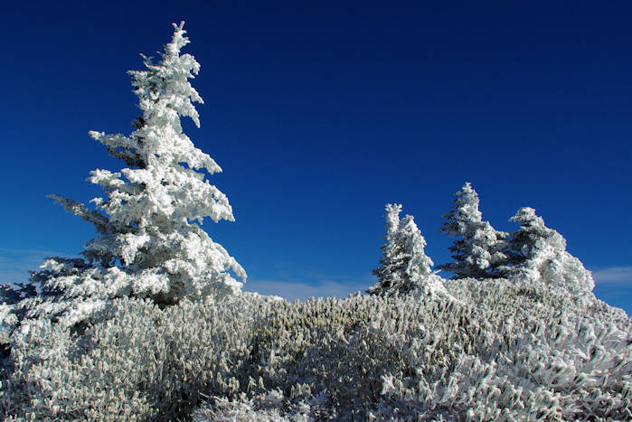 Roan Mountain in Winter