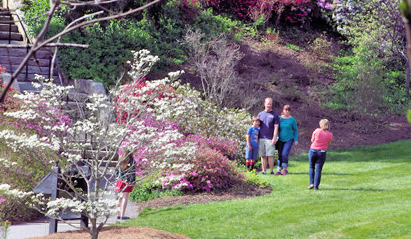 Biltmore Gardens Families