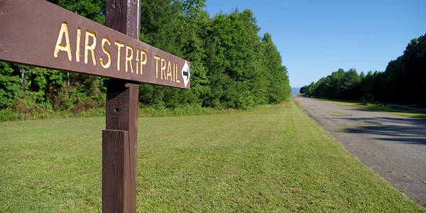 DuPont State Forest Airstrip Trail