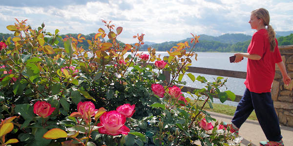 Lake Junaluska Rose Walk