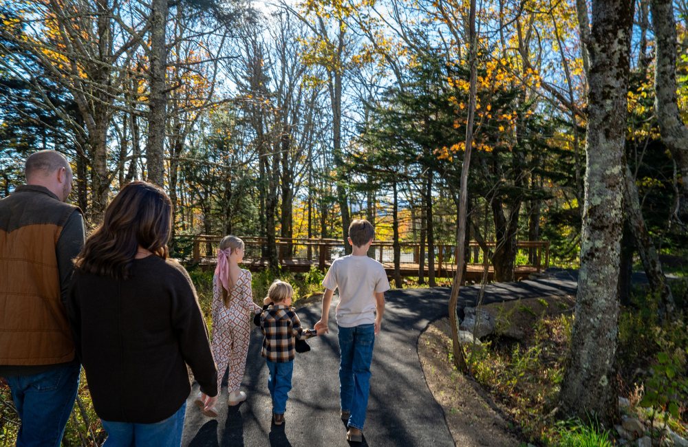 Yonni's Clubhouse at Grandfather Mountain and nature trail