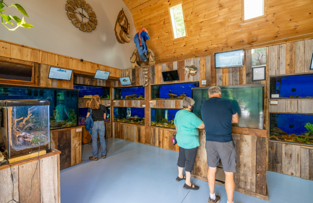 People visiting Appalachian Rivers Aquarium