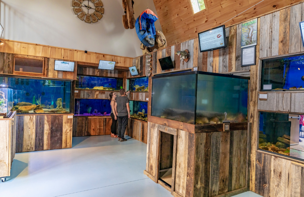Appalachian Rivers Aquarium exhibits