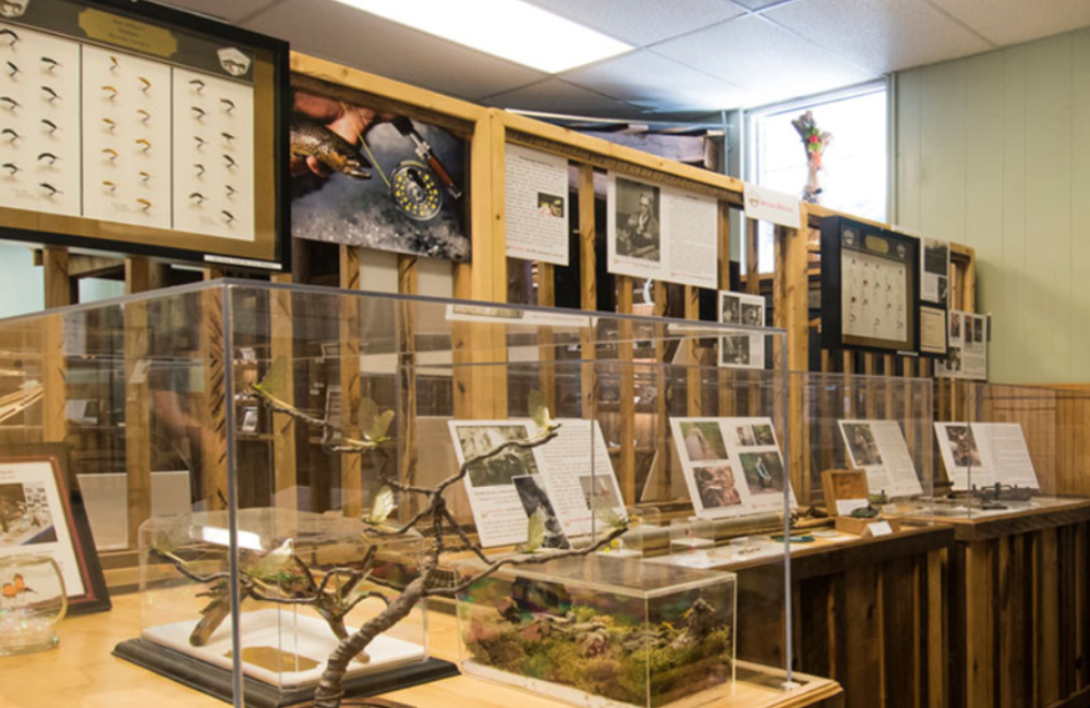 exhibits in Appalachian Rivers Aquarium