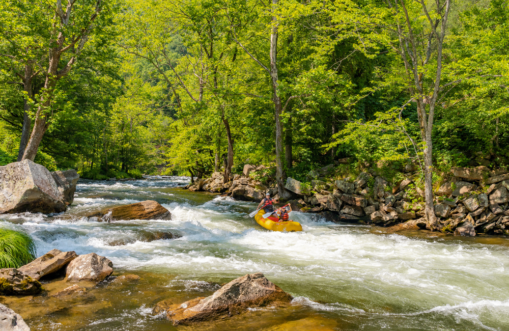 Whitewater rafting in Bryson City in spring