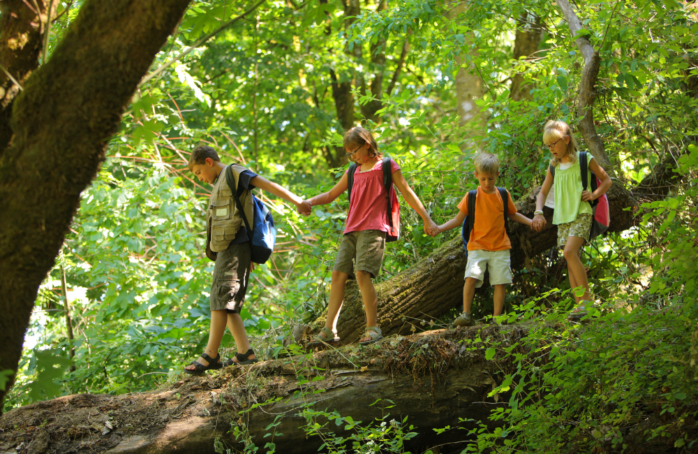 Hiking in Bryson City 