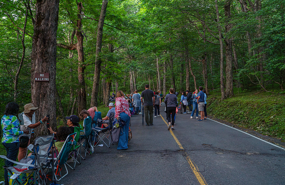 Roadside gathering of people to watch fireflies at Grandfather Mountain