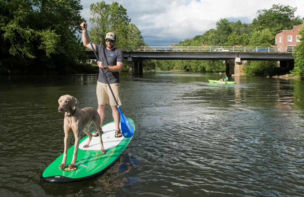 standup paddleboarding with a dog on the Tuckaseegee River