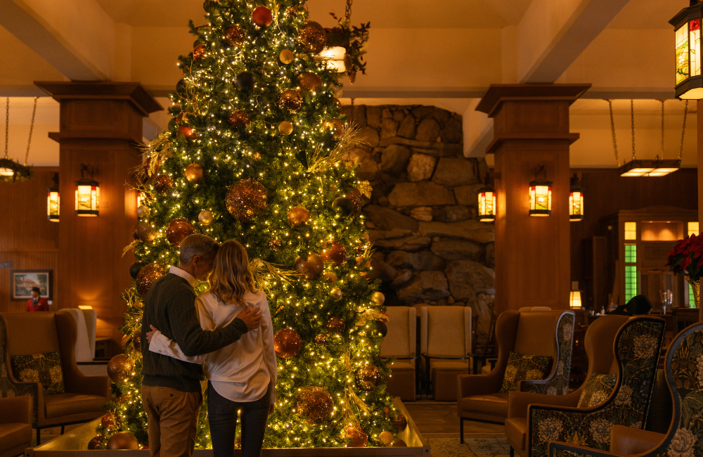 An enormous live Christmas tree inside a grand hall