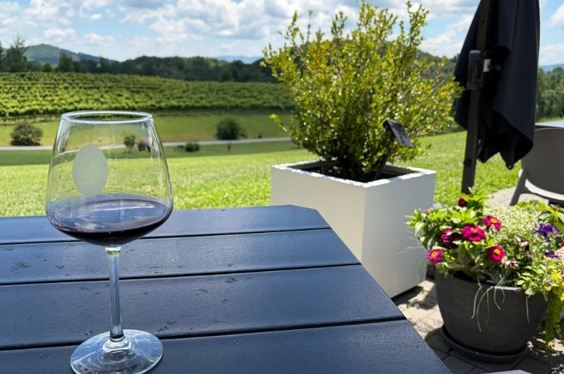 Photo of a wine glass on a table