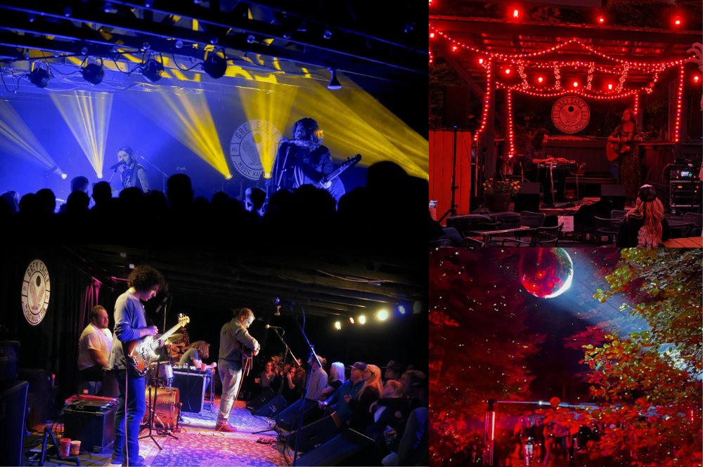 Collage of photos of bands playing live