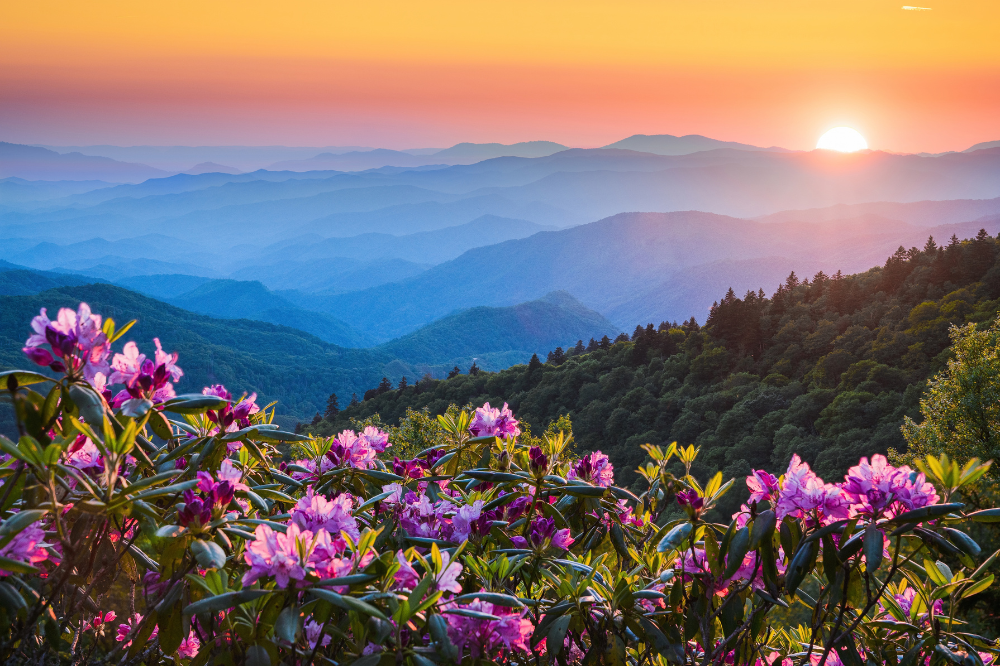 Beautiful sunset view from Waterrock Knob