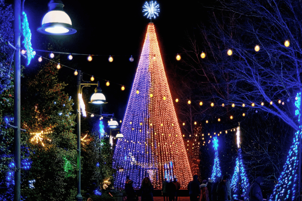 50 foot tall tree of light at at Winter Lights