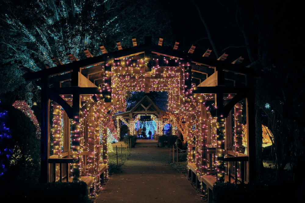 Pergolas covered with lights at Winter Lights