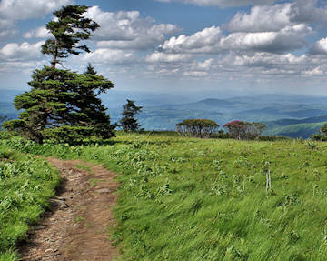Hiking near Asheville