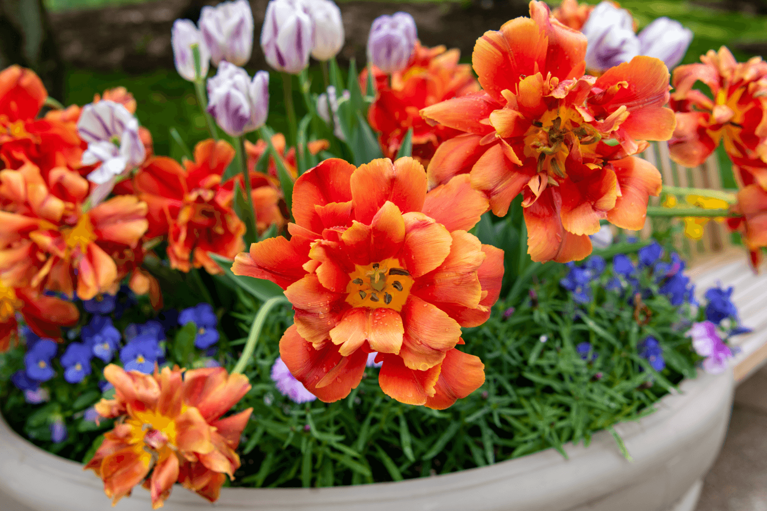 Close up of flower display.