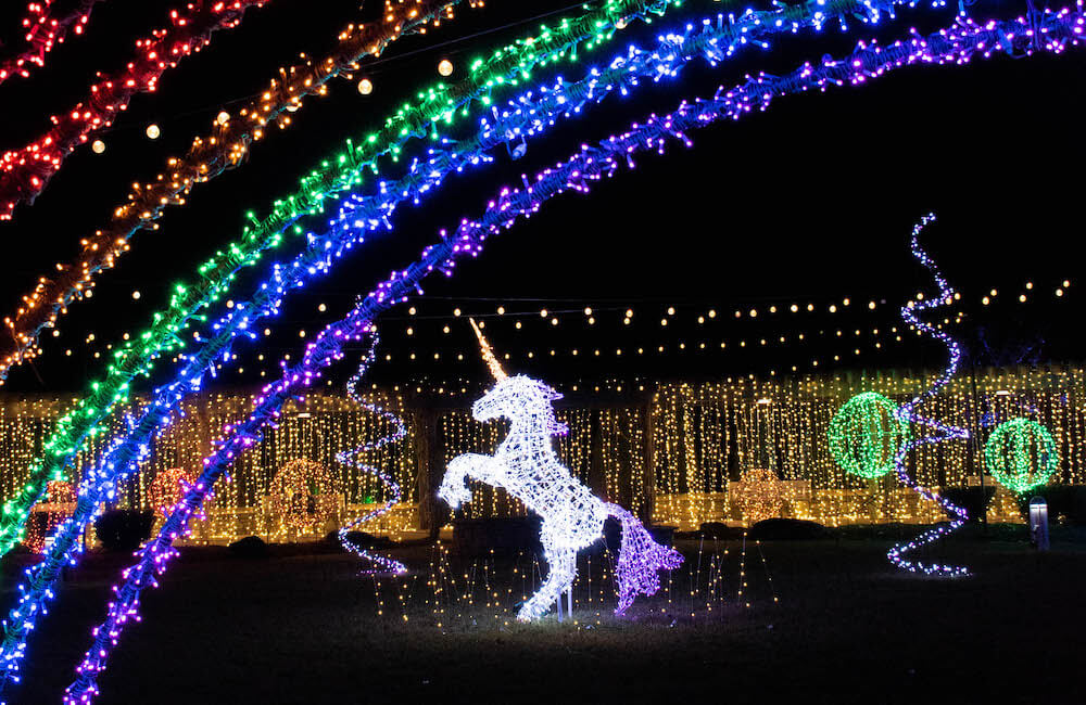 NC Arboretum Winter Lights - Romantic Asheville