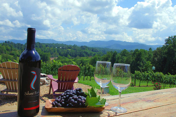 vineyard tours asheville nc