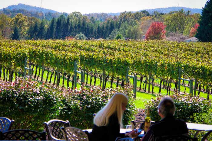 Top Wineries Near Asheville