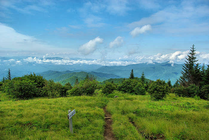 Andrews Bald Hike