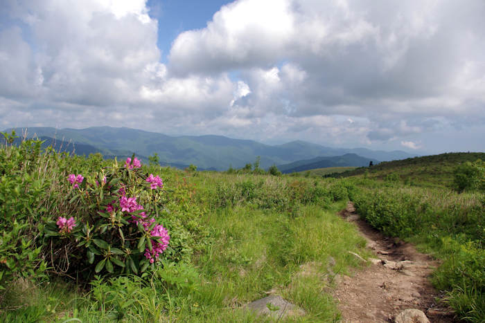 Art Loeb Trail