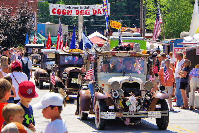 Coon Dog Day, Saluda