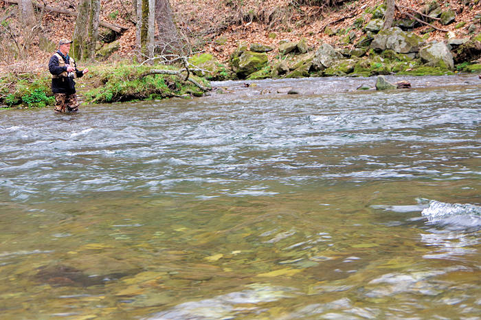 Fishing in Great Smoky Mountains Park, North Carolina