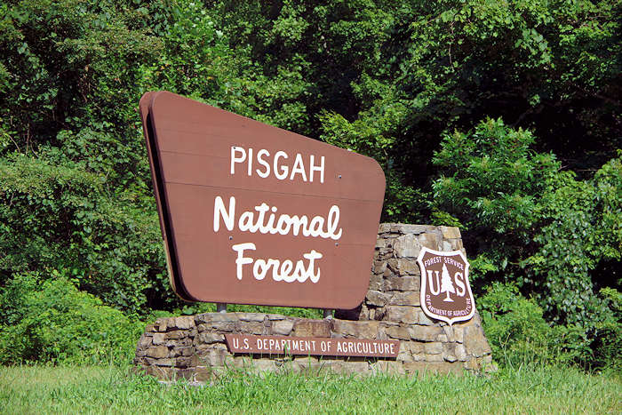 Pisgah National Forest, North Carolina