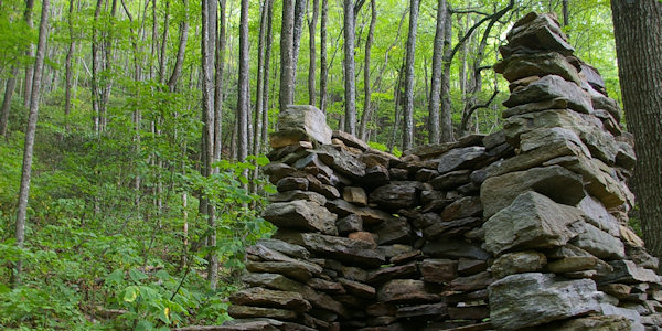 Rattlesnake Lodge Trail