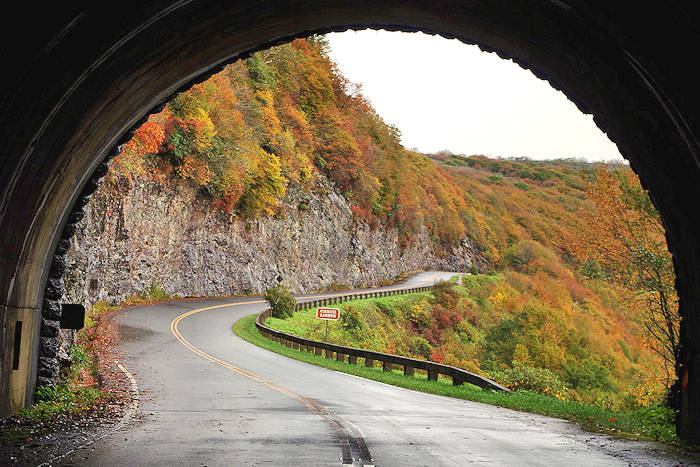 Scenic Road