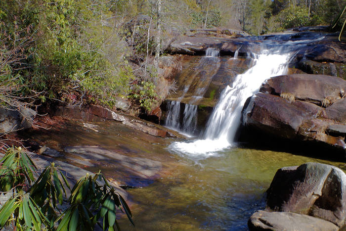 Wintergreen Falls, Dupont Forest