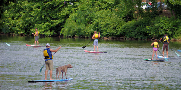 Paddleboard in Bryson City