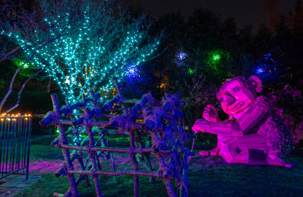 A troll in the glow of festive lights at Winter Lights at the NC Arboretum