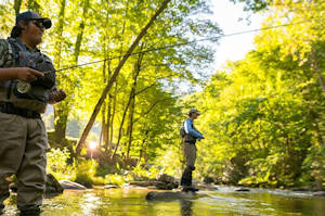 Fishing in Great Smoky Mountains Park, North Carolina