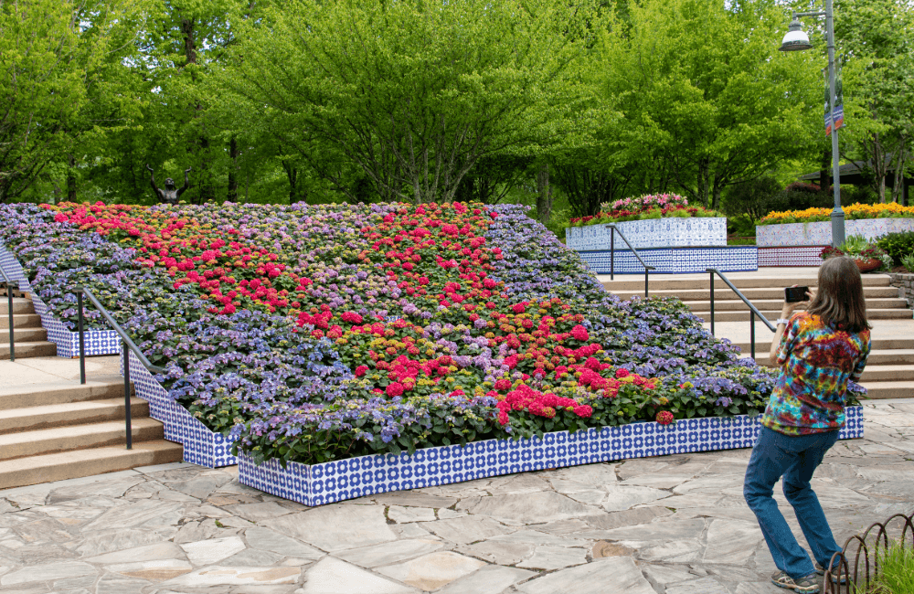 Bloom with a View display