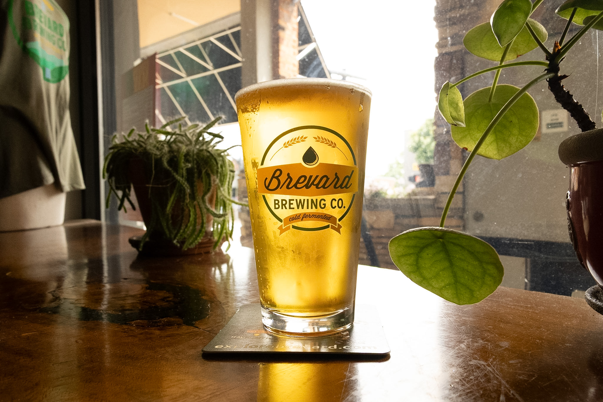 A light colored pint of beer at Brevard Brewing Company