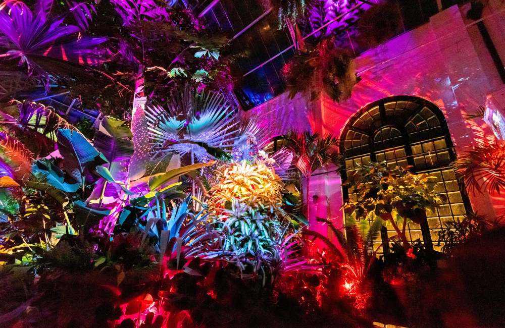 Conservatory during Luminere