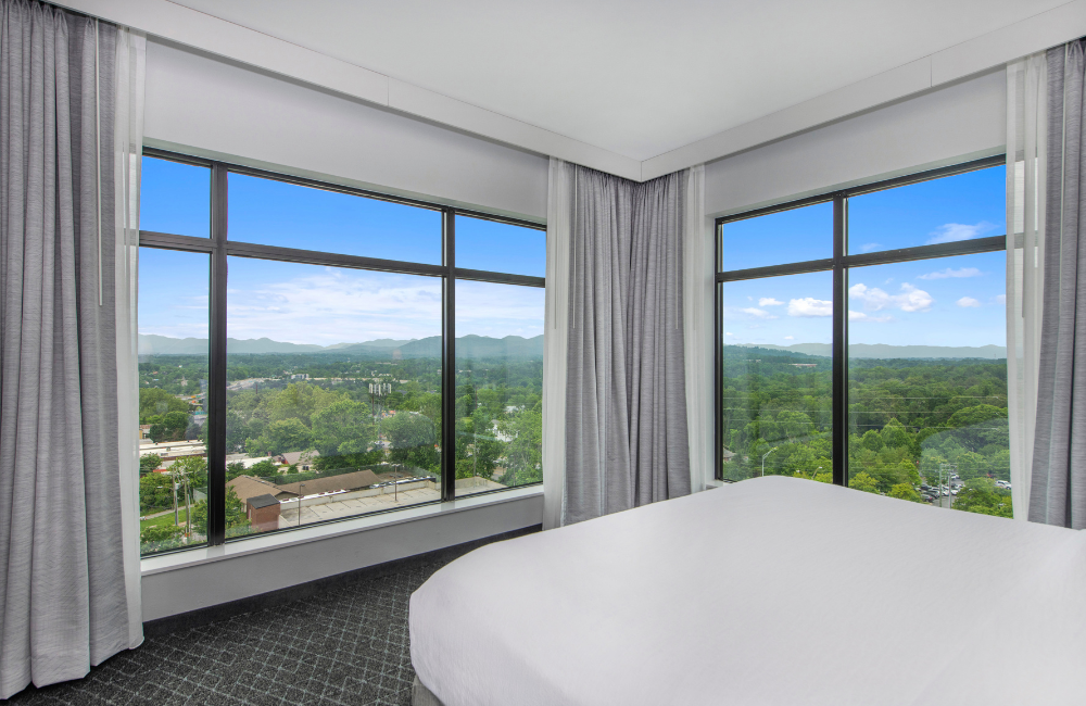 Embassy Suites by Hilton Dowtown Asheville