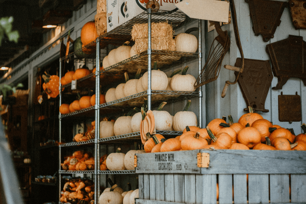 Shelves of pumpkins and more at Cashiers Market