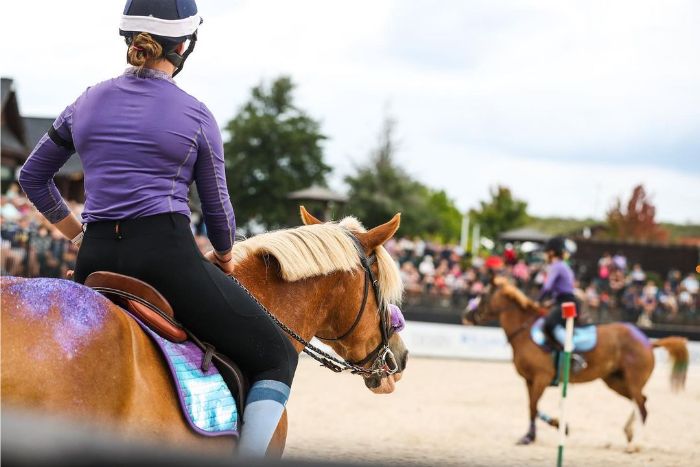 Tryon International Equestrian Center, NC