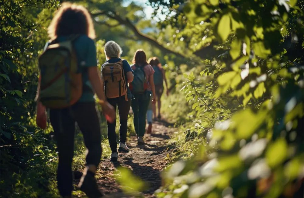 Guided hike at 3 Little Bears Retreat in Bryson City NC