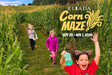 Children happily running through a corn maze