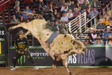 PBR® Tryon Chute Out