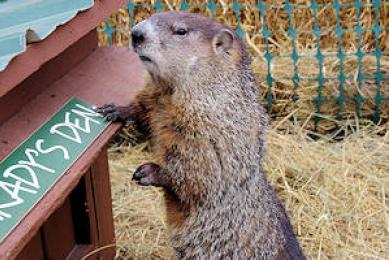 Groundhog Day