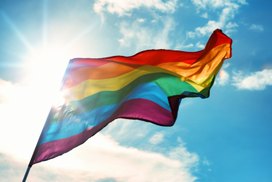 Asheville Stonewall Fest