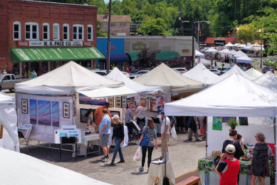 Annual Saluda Arts Festival